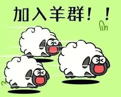 开发“羊了个羊”的二流程序员，真是个另类销售鬼才插图7